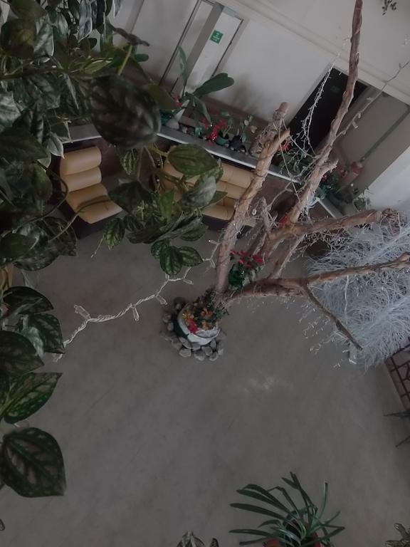 Hotel Raldos Inn Salamanca Zewnętrze zdjęcie